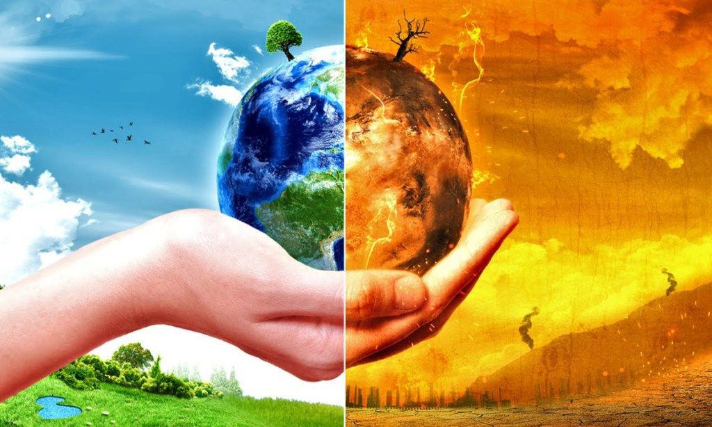 Educación ambiental: El primer paso para mitigar la crisis climática